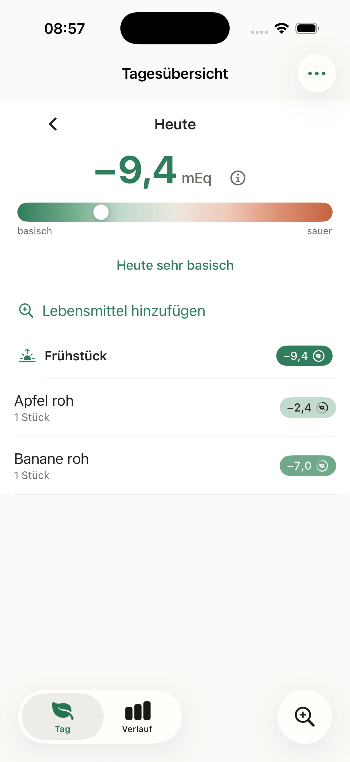 Tagesübersicht in Basenkompass mit PRAL-Bilanz von −9,4 mEq